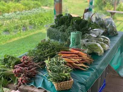 Photo of Common Good City Farm
